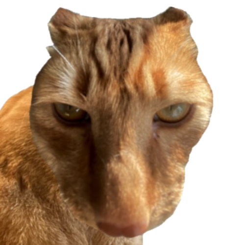 Vuishon